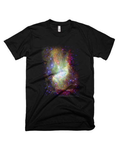 Star-Forming Fine Jersey