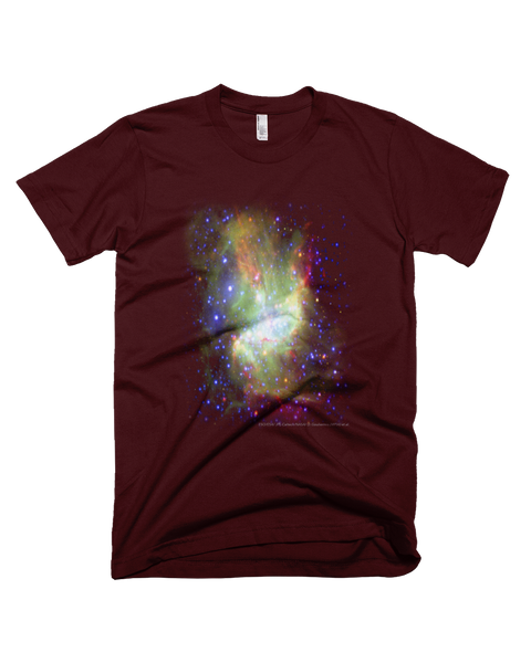 Star-Forming Fine Jersey